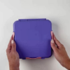 Little Lunch Box Co Bento Three + - Grape