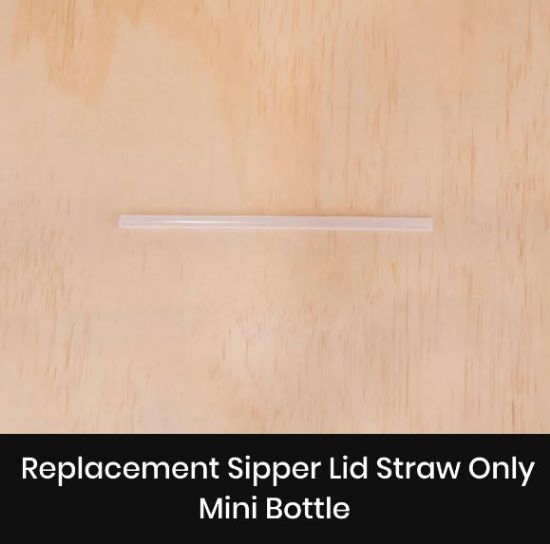 Montiico Sipper Lid Straw (Original)