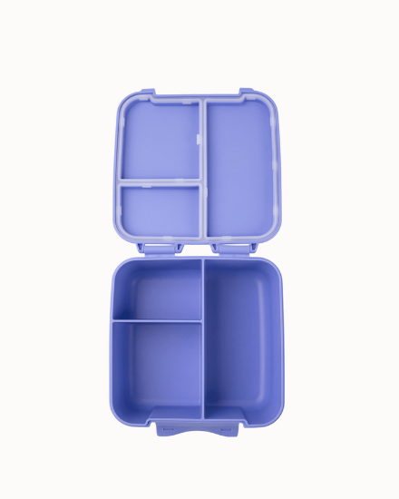 Montiico Bite Lunch Box - Splash